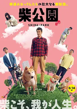 在线免费视频a