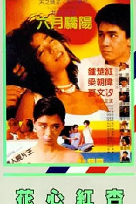 中文字幕一区二区在线观看