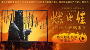 午夜在线视频网站