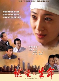 最新欧美视频区