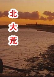 日韩草逼