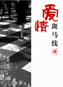 久久er视频