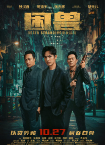 特一级毛片